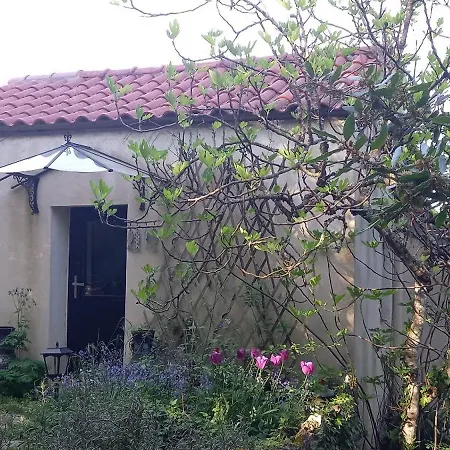 Holiday home Le Clos De La Bambouseraie